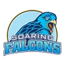 ADU Falcons logo